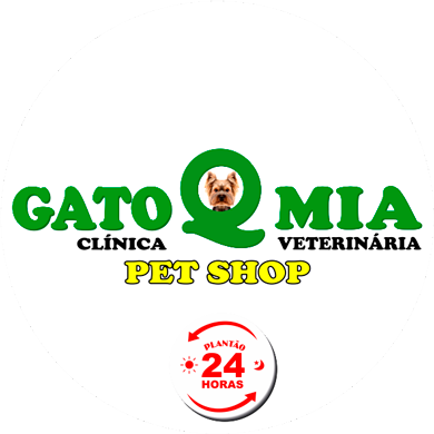 Gato-Q-Mia-Clínica-Veterinária-e-Pet-Shop-24-horas